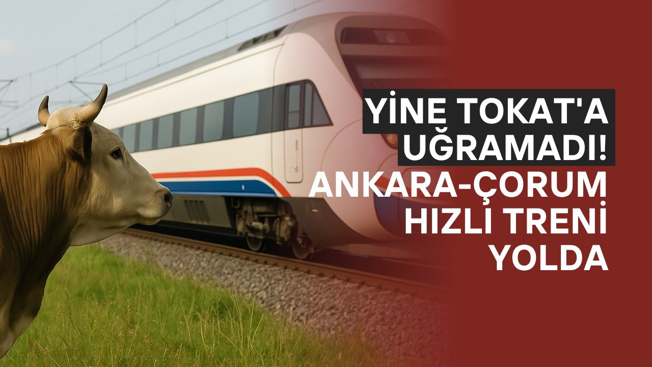 Yine Tokat'a Uğramadı! Ankara-Çorum Hızlı Treni Yolda