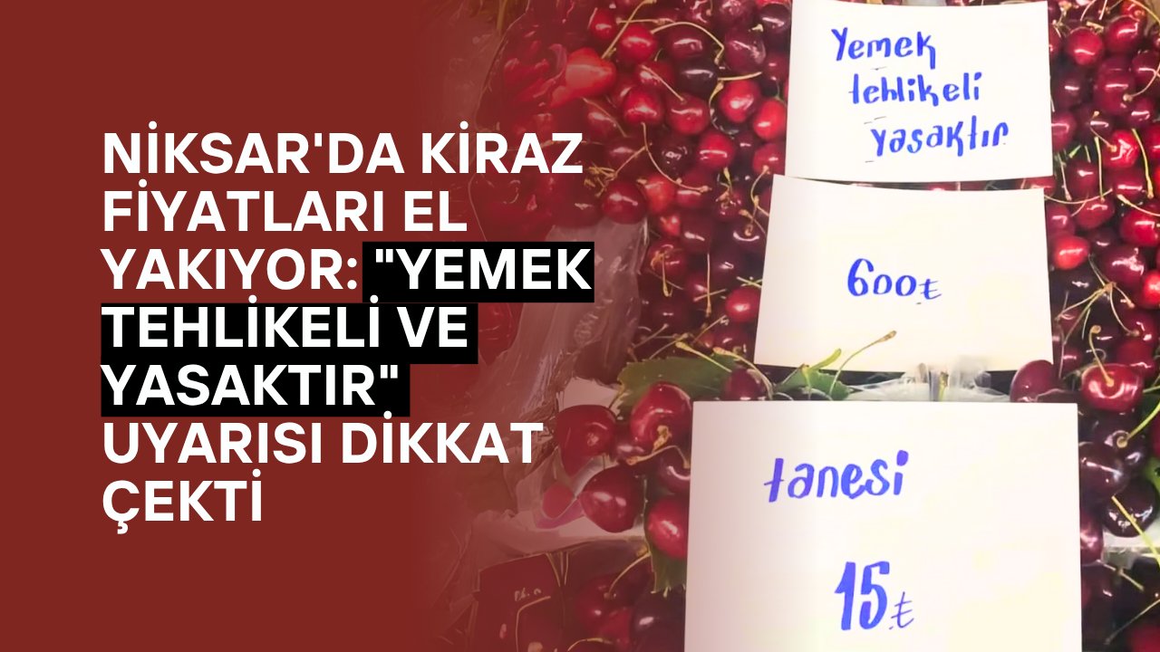 Tanesi 15 TL, Kilosu 600 TL: Tokat Niksar'da Kiraz Lüks Oldu!