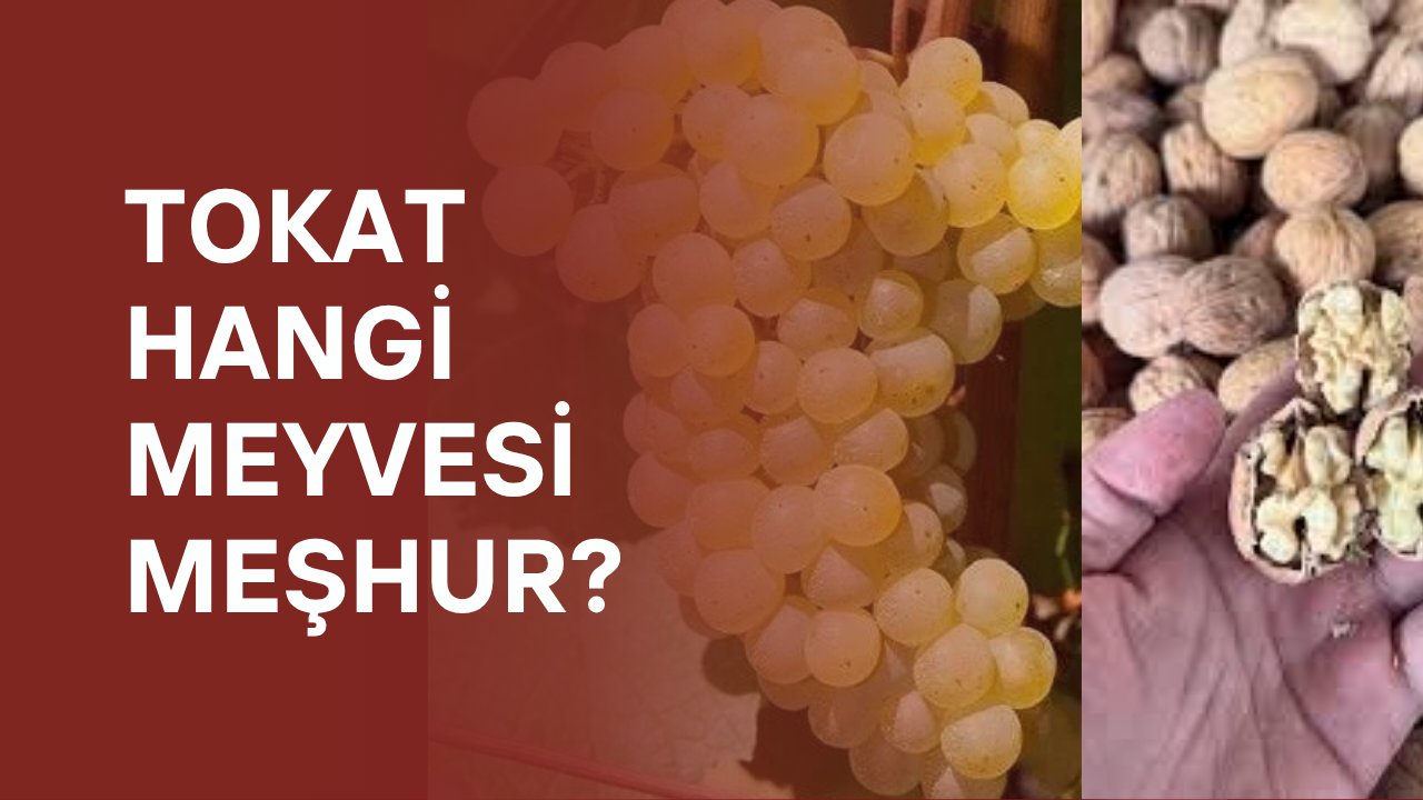 Tokat hangi meyvesi meşhur?