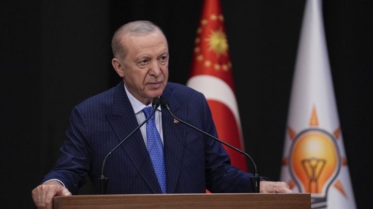 Erdoğan: Yurt dışındaki vatandaşlarla ilgilenmemiz birilerine dert oluyor